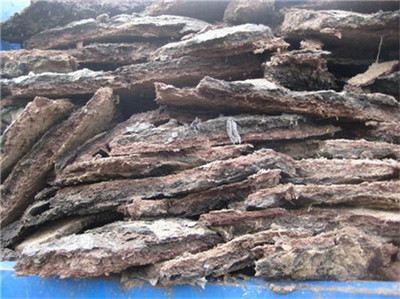 海南臨高椰子種植專用生物有機肥的研發(fā)與應(yīng)用前景